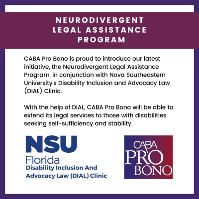 Empowering Disabled Adults: Pro Bono Legal Services for Equal Access to Justice